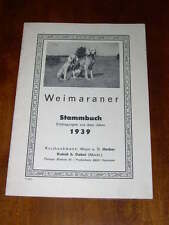 Rare weimaraner dog for sale  WARRINGTON
