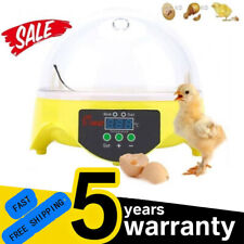 Automatic digital egg for sale  UK