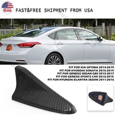 Carbon fiber shark for sale  USA