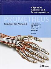 Prometheus lernpaket anatomie gebraucht kaufen  Berlin