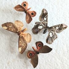 Moth collection set for sale  SLEAFORD