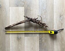 Driftwood root branch, used for sale  LONDON