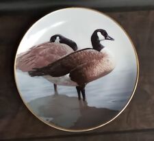 Canada geese collector for sale  Warwick