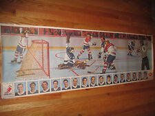 Raro 1969 General Foods POST Cereal POWER PLAY GOAL Canadien NHL Player Poster 1 comprar usado  Enviando para Brazil