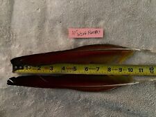 Macaw wing feathers for sale  Easton