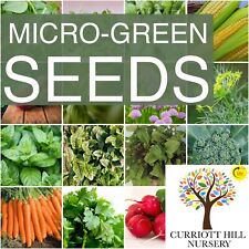 Micro greens seeds. for sale  CREWKERNE
