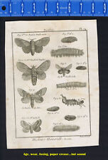 Bombyx silk moth for sale  Enterprise