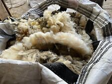 Schafwolle rohwolle unsortiert gebraucht kaufen  Affing