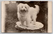 Rppc adorable coton d'occasion  Expédié en Belgium