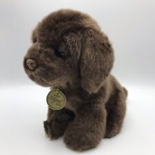 Chocolate lab puppy for sale  Vaughn
