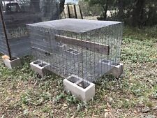Parrot aviary animal for sale  Kerrville