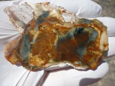 Morrisonite jasper polished for sale  Hood River