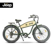 Jeep cruise bike gebraucht kaufen  Weier,-Zunsweier