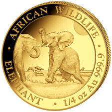 Goldmünze elefant african gebraucht kaufen  Erftstadt
