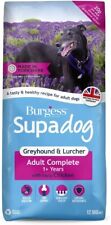 Burgess supadog greyhound for sale  WEMBLEY