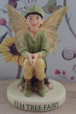 Riginal flower fairies gebraucht kaufen  Wismar-,-Umland