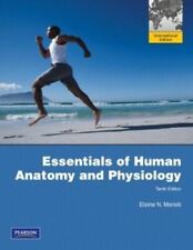 Essentials of Human Anatomy and Physiology por Marieb E N comprar usado  Enviando para Brazil