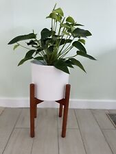 Indoor wooden plant for sale  TONBRIDGE