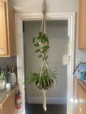 macrame plant hanger for sale  Shipping to Ireland