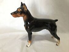 doberman dog for sale  Steger