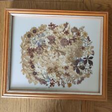 Vintage dried flowers for sale  NORWICH