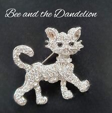 Cat kitten silver for sale  BASILDON
