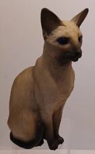 North light siamese for sale  CREDITON