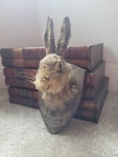 Antique hare rabbit for sale  KINGSWINFORD