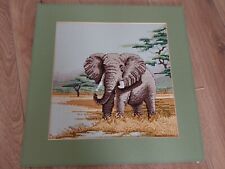 African elephant completed for sale  IPSWICH
