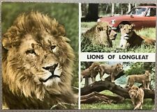 Lions longleat safari for sale  HUDDERSFIELD