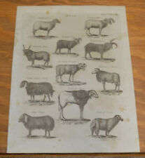 1798 dobson print for sale  Monroeville
