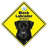 Black labrador board for sale  HOOK