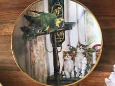 Cat display plate for sale  BURY