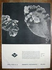 1942 pubblicita agfa usato  Velletri