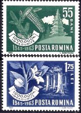 Romania 1963 faggi usato  Trambileno