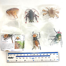 Kaiyodo Capsule Q Museum Harmful Insect Figure Set of 5 Japan Hornet Cockroach for sale  Shipping to South Africa
