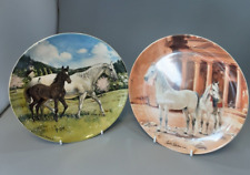 Spode collector plates for sale  BASINGSTOKE