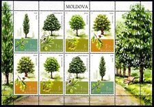 Moldavia 2018 alberi usato  Trambileno