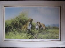 Rare David Shepherd signed limited edition Artist Proof print "Leopards" for sale  STAMFORD