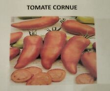 Graines tomates cornue d'occasion  Ribécourt-Dreslincourt
