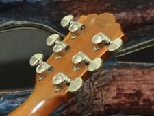 Guitarra acústica Washburn D55SW Cherokee años 90 segunda mano  Embacar hacia Argentina