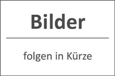 Viessmann heizöl brenner gebraucht kaufen  Pößneck