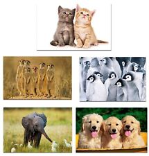 Cute animal posters for sale  HAILSHAM