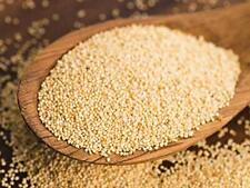 Indian Premium Spices White Poppy Seeds ( Posta dhana , khus khus ) FREE SHIP for sale  Shipping to South Africa