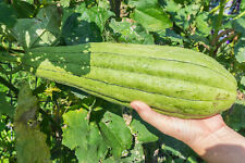 luffa schwamm gebraucht kaufen  Eisingen