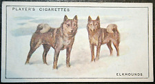 Elkhound vintage 1925 for sale  DERBY
