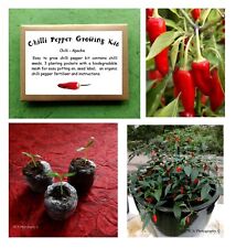 Chilli pepper growing for sale  WORTHING