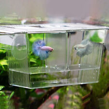 Fish hatching tank for sale  Shipping to Ireland