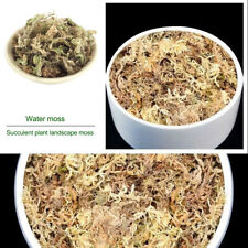 12l dried sphagnum for sale  LISBURN