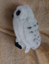 International white owl for sale  LEICESTER